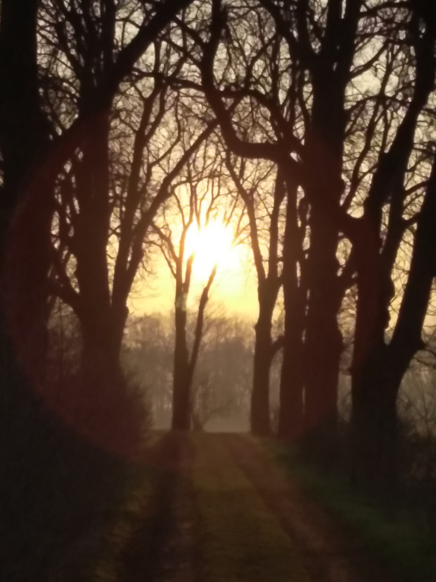 cesta je cíl i v kruhu důvěry